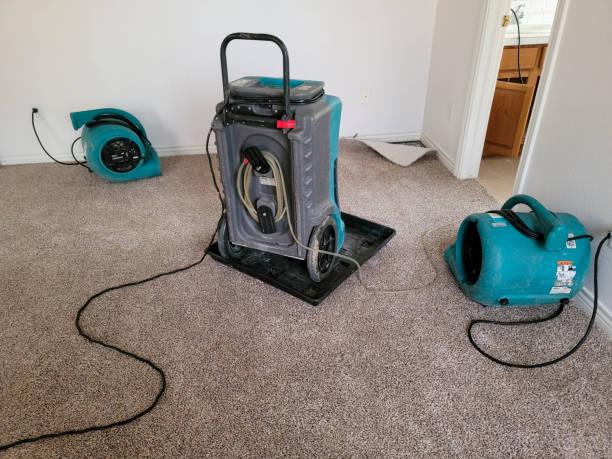 Best 24-hour water damage restoration  in West Wareham, MA