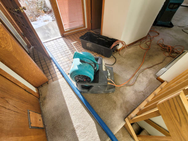 Best Flood restoration services  in West Wareham, MA