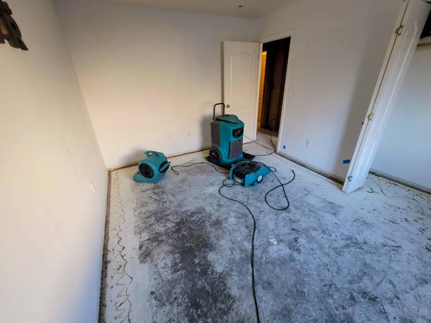 Best 24-hour water damage restoration  in West Wareham, MA