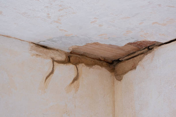 Best Carpet water damage restoration  in West Wareham, MA