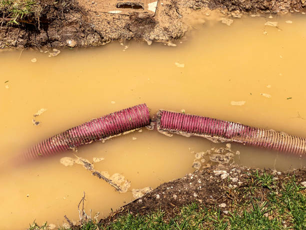 Best Commercial water damage restoration  in West Wareham, MA